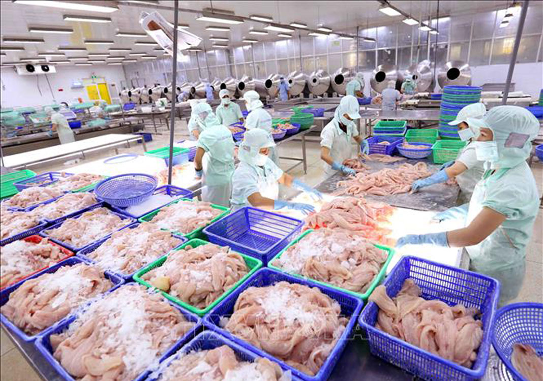 China seeks to tighten control over seafood imports from Vietnam - The ...