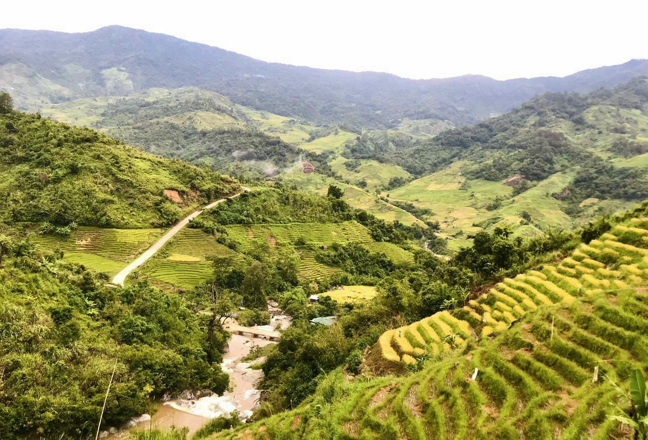 Conquering Ngoc Linh Mountain on a rainy day - The Saigon Times