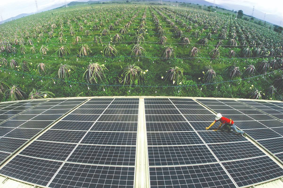 Солнечная энергия для растений и солнечных батарей