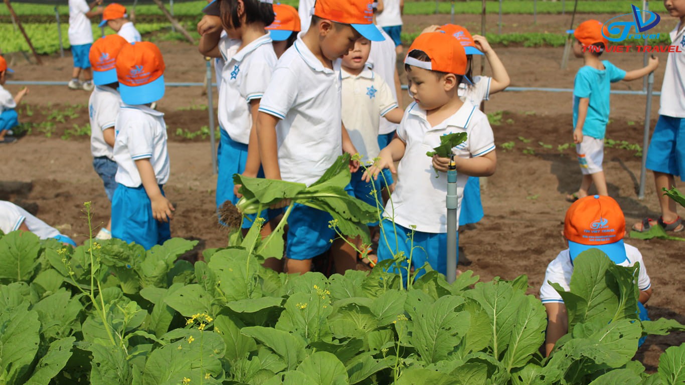 Vietnam’s population faces downward trend amid falling birth rates