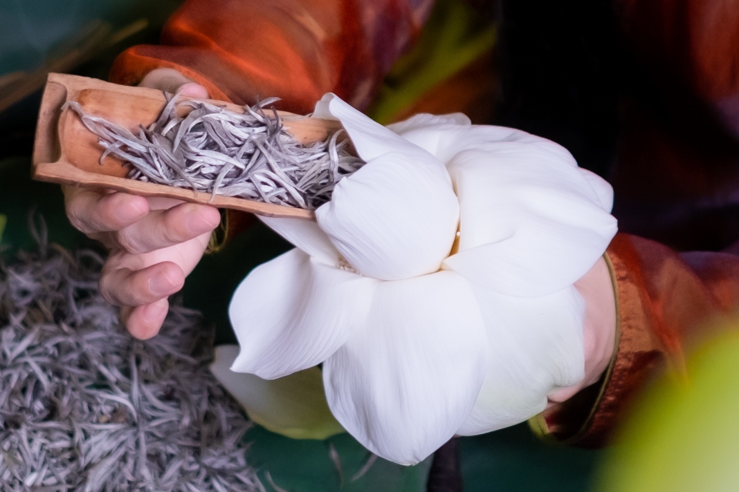 Promoting Vietnamese tea culture to the world