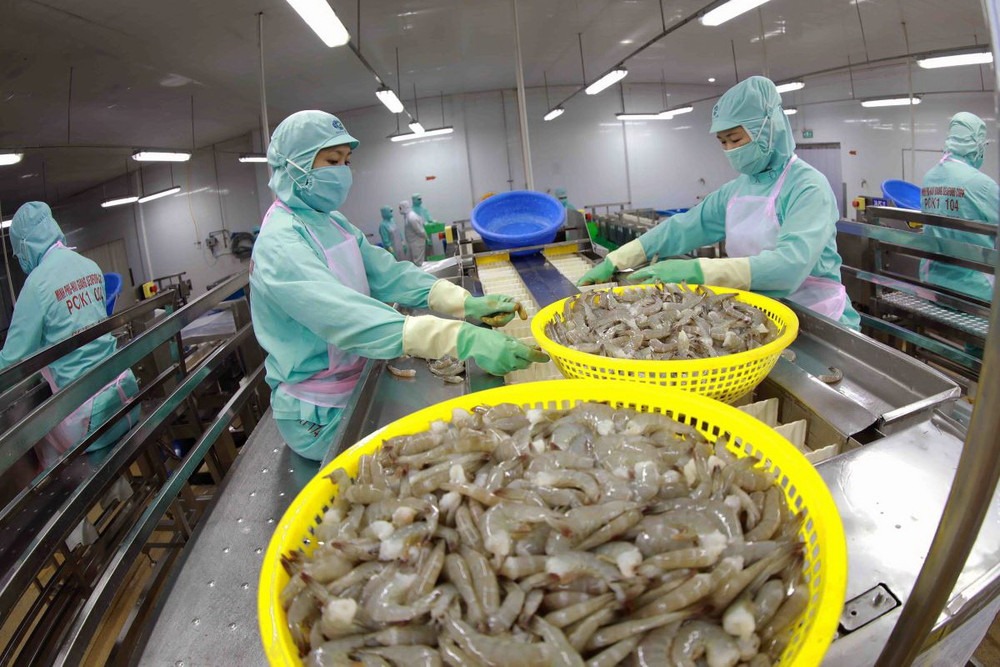 Vietnam’s seafood exports hit over US$10 billion in Jan-Nov
