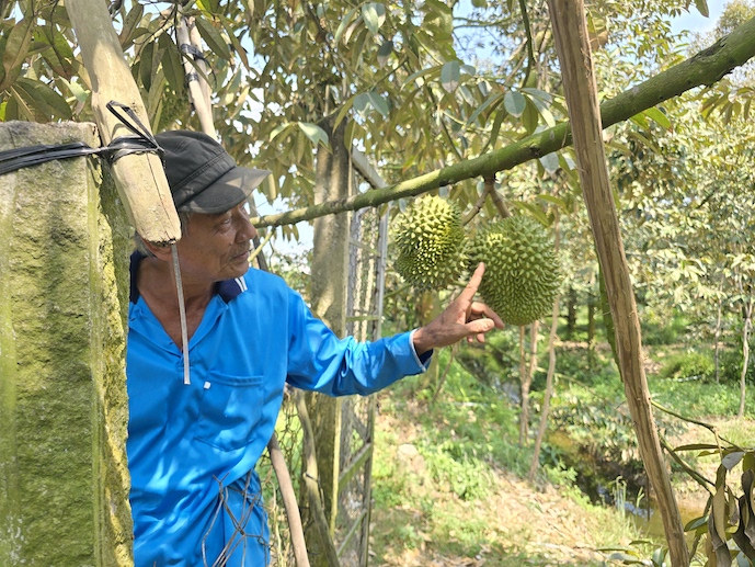 Vietnam’s fruit and vegetable exports hit record US$8.6 billion in 2025