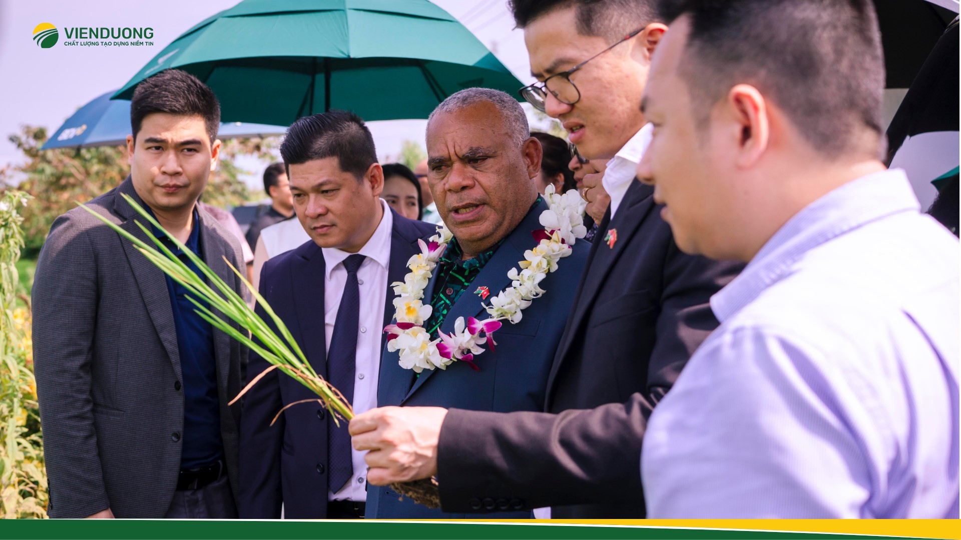 Vanuatu Prime Minister visits Vien Duong rice plants in Vietnam’s Can Tho