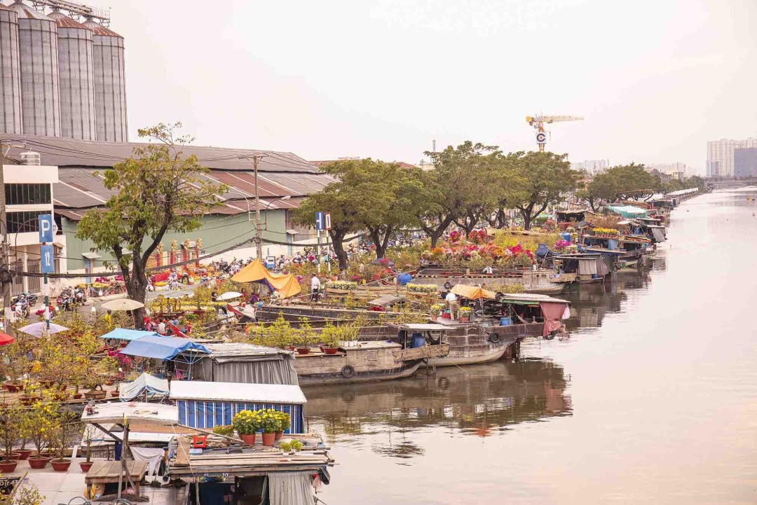 HCMC to hold spring flower market along Binh Dong Canal for Tet 2026