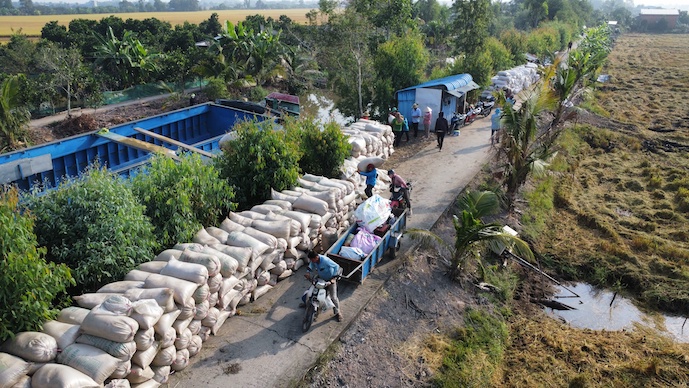 Vietnam’s rice export prices continue to fall