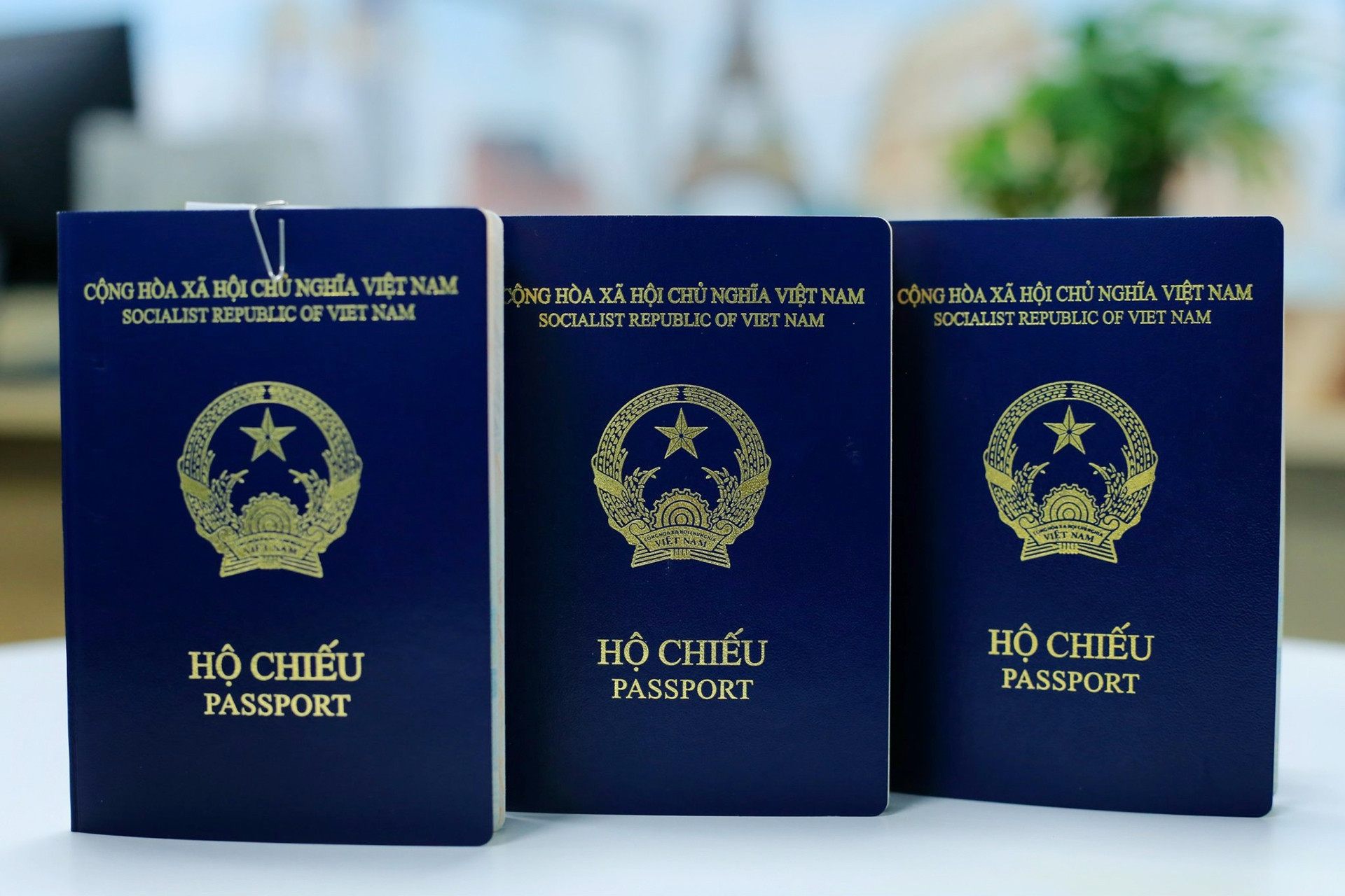 Vietnam passport rises five places to 86th in 2026 Henley index