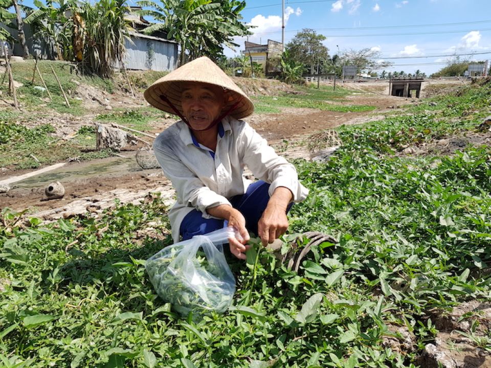 PM orders to urgently combat saltwater intrusion and forest fires