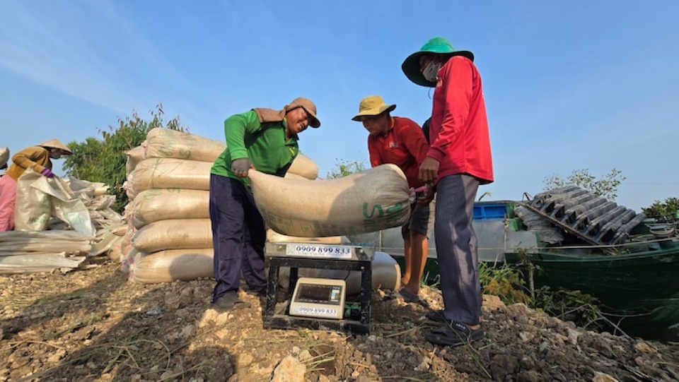 Philippines accounts for record 50% of Vietnam’s January rice exports