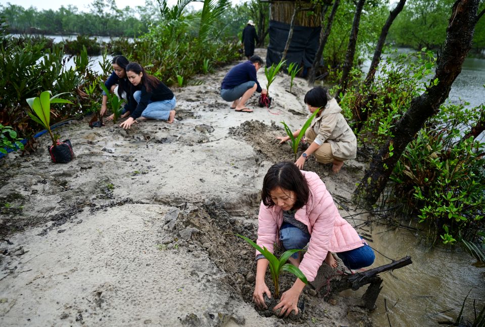 Vietnam establishes legal framework for domestic carbon market registry
