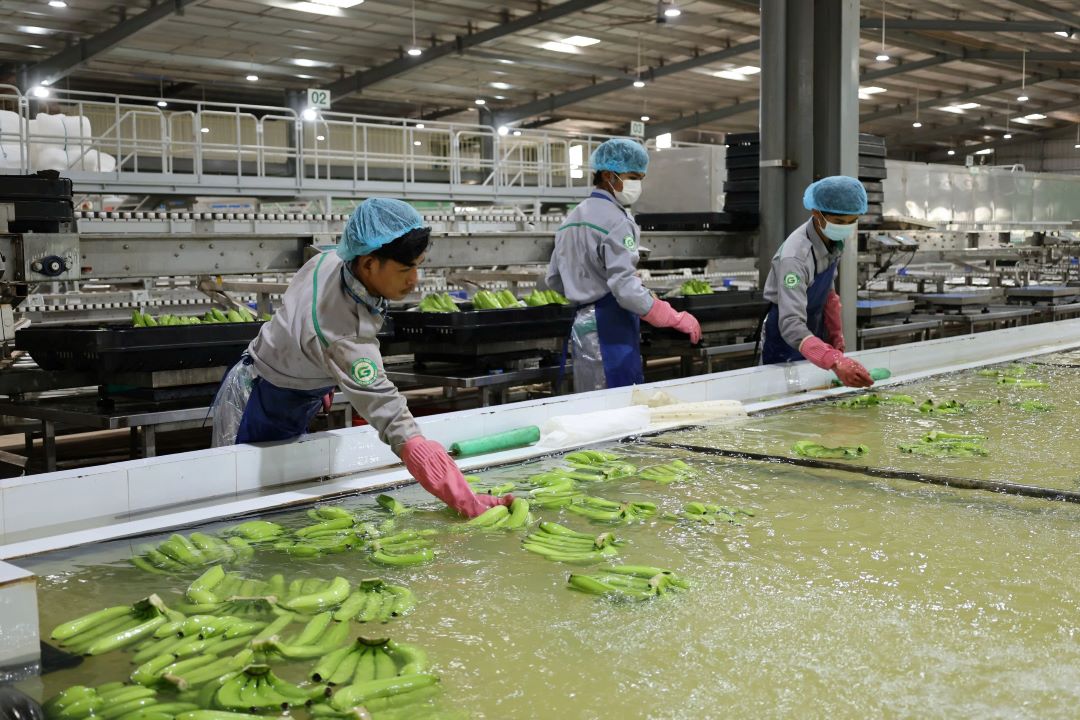 Vietnam’s outbound investments jump in January