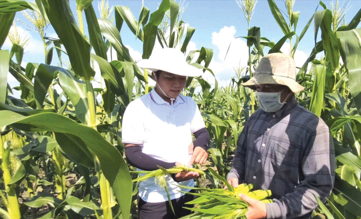 Feedback sought for draft law on commodity derivatives trading