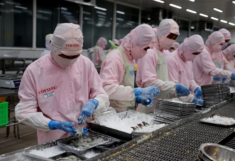 U.S. cuts antidumping duties on Vietnamese frozen shrimp