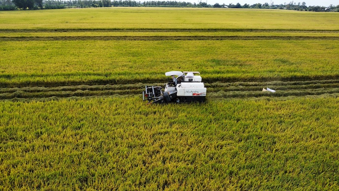 Over 380 tons of Vietnam’s fragrant rice certified for export to EU