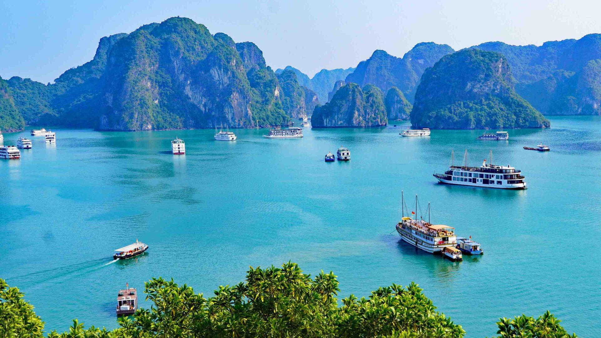 Quang Ninh orders review of tourist boats in Halong bay