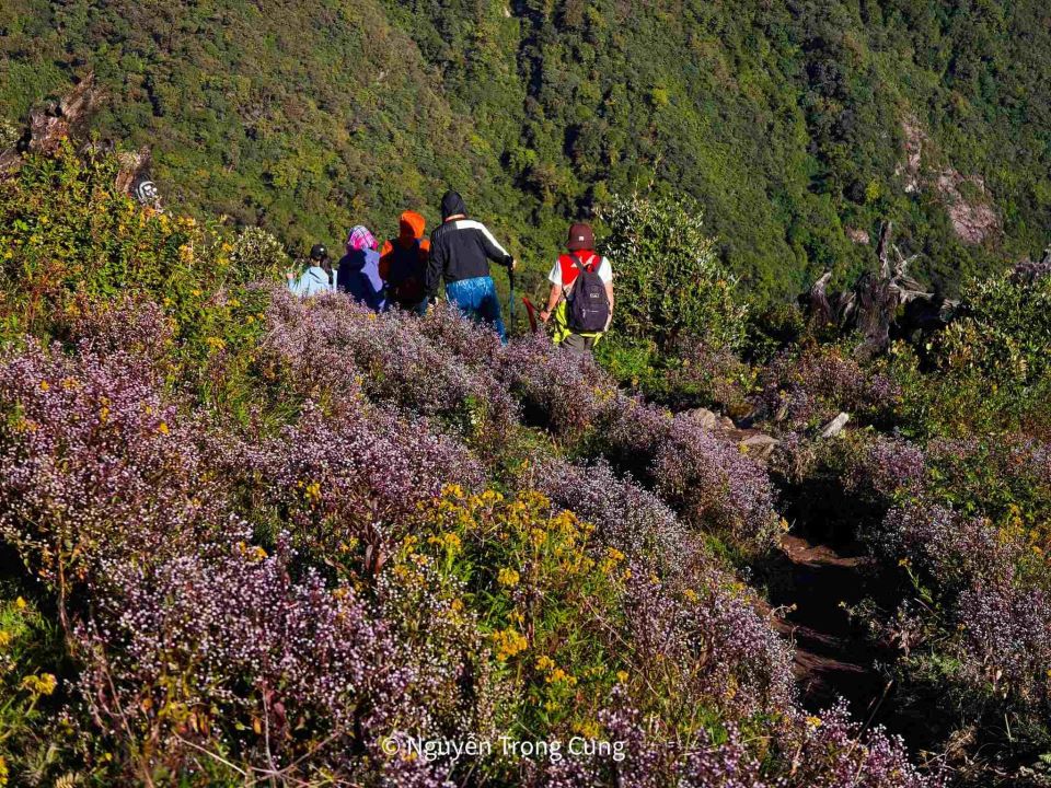 Vietnam launches first national safety standards for hiking and trekking