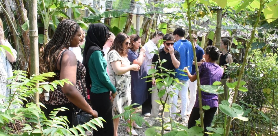 Vietnam targets 50 million international arrivals by 2030