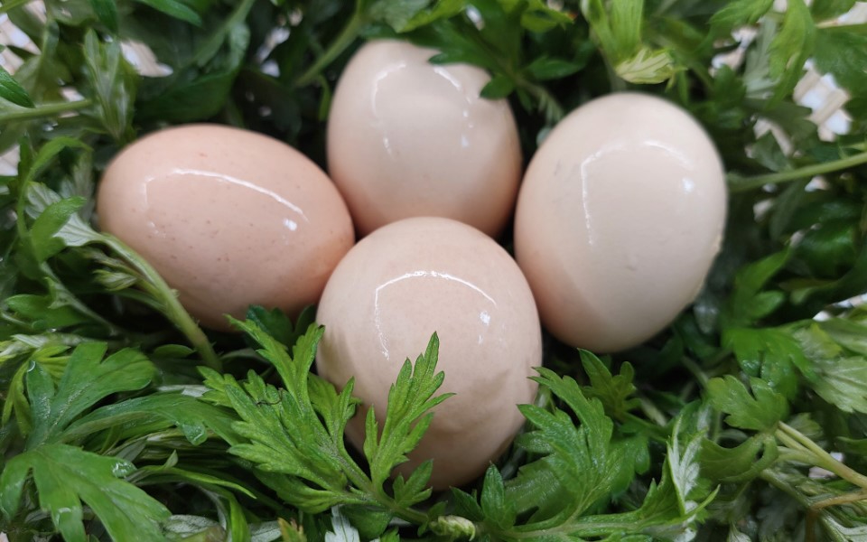 Mugwort omelet: Hanoi’s rustic comfort and healing herb