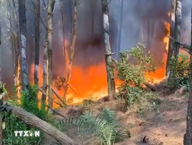 Prolonged heatwave heightens forest fire risk nationwide