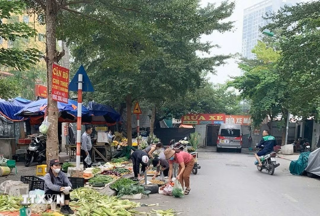 Hanoi to rebuild 108 wet markets, phases out informal street sales
