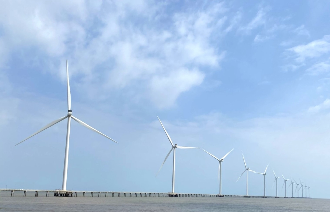 Vietnam mandates national registration for all international carbon credit transfers