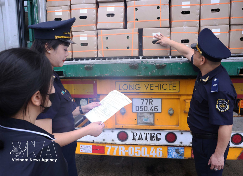 Customs offices detect nearly 8,900 violations in five months - The ...