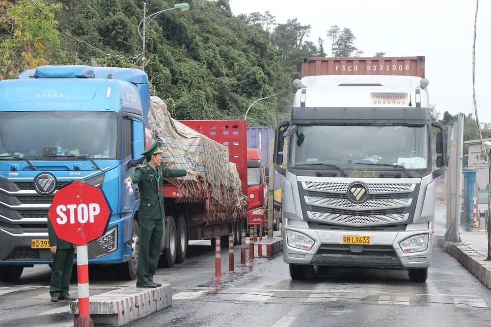 Vietnam suspends enforcement of Decree 46 on food safety