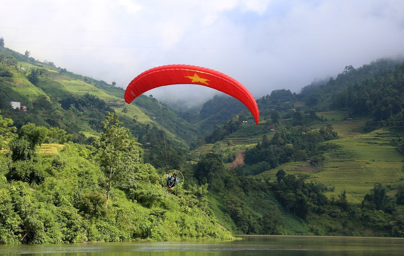 Vietnam’s forest coverage reaches 42% in 2025