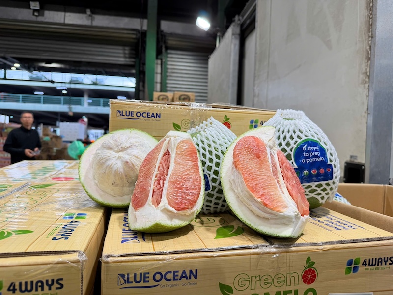 Vietnam begins formal export of pomelos, limes to China