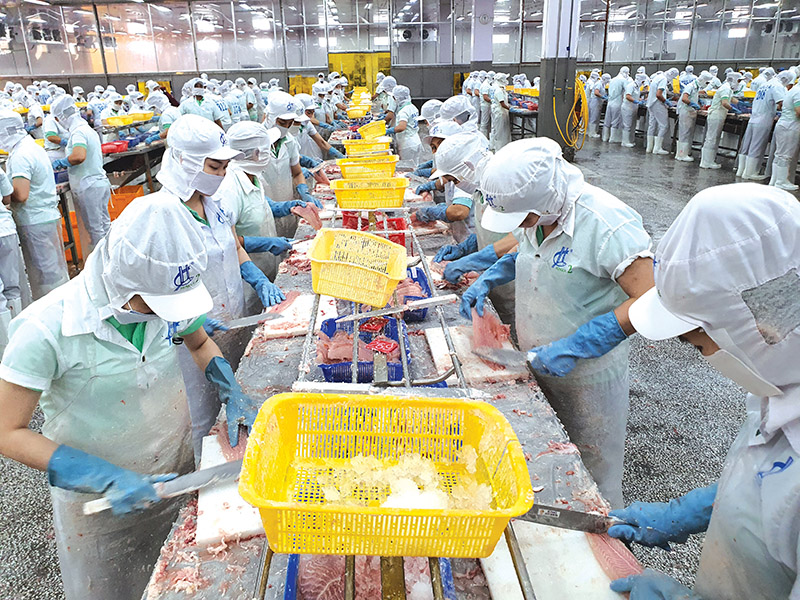 Vietnamese food exporters face stricter Chinese registration requirements from June 1