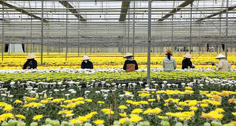 Vietnam issues eight resolutions to cut red tape, ease business rules