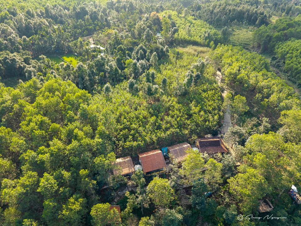 Vietnam targets Q2 2026 completion of forest carbon credit issuance